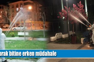 Yaprak bitine erken müdahale