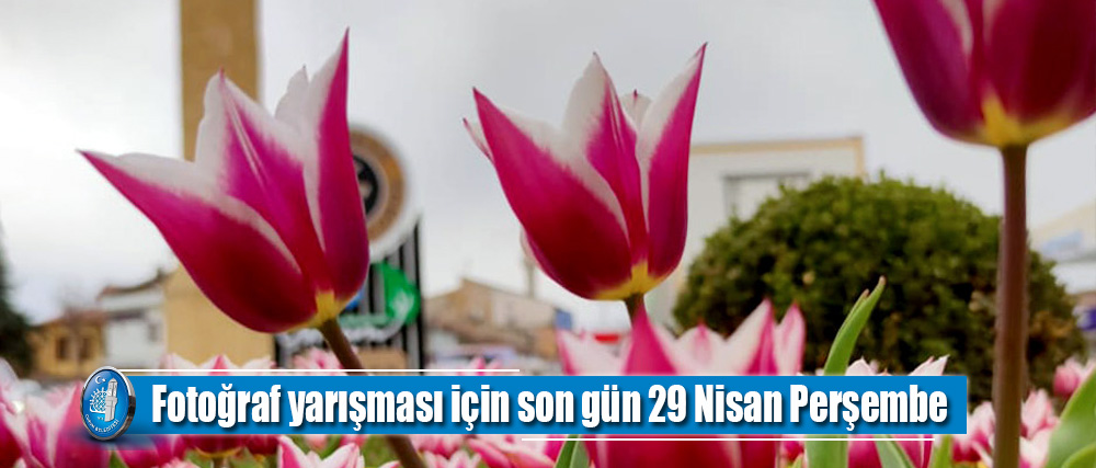 Fotoğraf yarışması için son gün 29 Nisan Perşembe