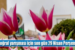 Fotoğraf yarışması için son gün 29 Nisan Perşembe