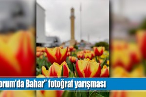 “Çorum’da Bahar” fotoğraf yarışması