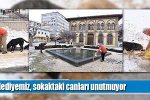 Belediyemiz, sokaktaki canları unutmuyor