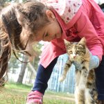 ‘Hayvan dostu kent olmayı hedefliyoruz’