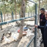 ‘Hayvan dostu kent olmayı hedefliyoruz’