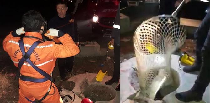Kuyuya Düşen Köpeği İtfaiye Kurtardı