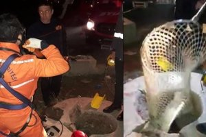 Kuyuya Düşen Köpeği İtfaiye Kurtardı