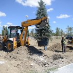 Belediye,2018 yılı içinde 40 bin 250 adet yetişmiş ağaç dikecek