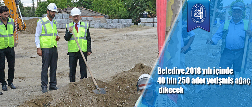 Belediye,2018 yılı içinde 40 bin 250 adet yetişmiş ağaç dikecek