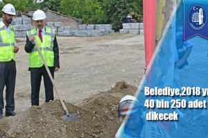 Belediye,2018 yılı içinde 40 bin 250 adet yetişmiş ağaç dikecek