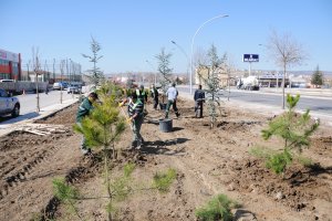 Çorum yeşile bürünüyor