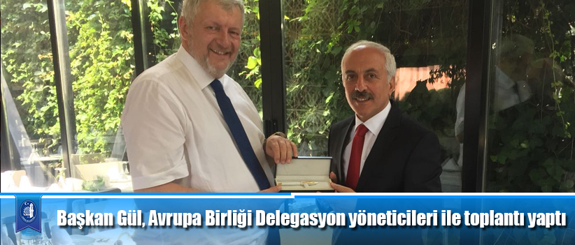 Başkan Gül, Avrupa Birliği Delegasyon yöneticileri ile toplantı yaptı