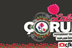 Belediye'den, "Lale ve Çorum" konulu fotoğraf yarışması