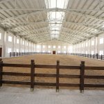 Binicilik Tesisi ikinci kez ihaleye çıkıyor