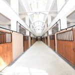 Binicilik Tesisi ihaleye çıkıyor