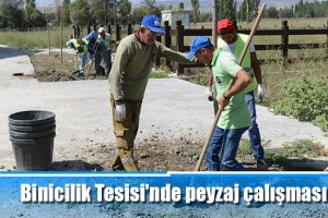 Binicilik Tesisi'ndepeyzaj çalışması