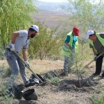 Çorum Sanayi Sitesinde 10 bin metrekare alan ağaçlandırılıyor