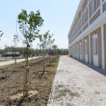 Binicilik Tesisi'ndepeyzaj çalışması