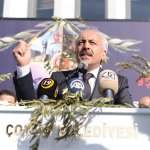 Gül, “Zeytin Dalı harekâtı milli birliğimizi perçinledi”