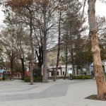 Hastalık nedeniyle kuruyan ağaçların yerine yenisi dikilecek