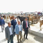 Yeni Hayvan Pazarı açıldı