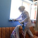 Belediye, ulu çınarların her zaman yanında