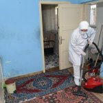 Belediye, ulu çınarların her zaman yanında