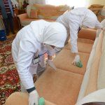 Belediye, ulu çınarların her zaman yanında