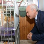 Başkan Gül, “Türkiye üreten ve yarınlarına yatırım yapan bir ülke haline geldi”