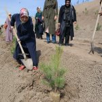 KKSM’ler ağaç dikti