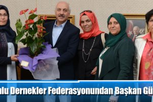 Çorumlu Dernekler Federasyonundan Başkan Gül’e ziyaret