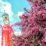 Çorum'a bahar geldi