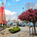 Çorum'a bahar geldi