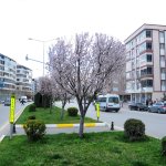 Çorum'a bahar geldi