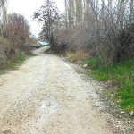 Bağların yeni imar revizyon planı yapıldı