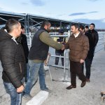 Hayvan pazarında sona gelindi