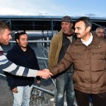 Hayvan pazarında sona gelindi