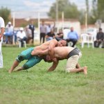 Karakucak güreşleri izleyenleri mest etti