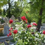 Çorum Belediyesi Ramazan Bayramı’na hazır