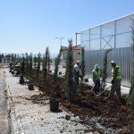 Yeni Hayvan Pazarı 18 Haziran’da açılıyor