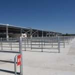 Yeni Hayvan Pazarı 18 Haziran’da açılıyor