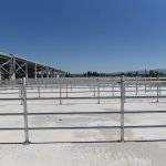 Yeni Hayvan Pazarı 18 Haziran’da açılıyor