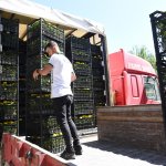 Belediye arife günü mezarlıklarda 60 bin çiçek dağıtacak