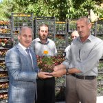 Belediye arife günü mezarlıklarda 60 bin çiçek dağıtacak