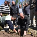 Mezarlıklara 5 Bin Gül Dikildi