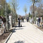 Mezarlıklara 5 Bin Gül Dikildi