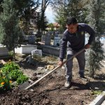 Mezarlıklara 5 Bin Gül Dikildi