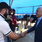 Başkan Gül, hayvan pazarında incelemede bulundu