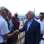 Başkan Gül, hayvan pazarında incelemede bulundu