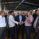 Başkan Gül, hayvan pazarında incelemede bulundu