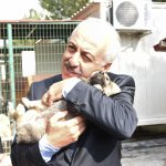 ‘Hayvan dostu kent olmayı hedefliyoruz’