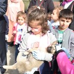 ‘Hayvan dostu kent olmayı hedefliyoruz’